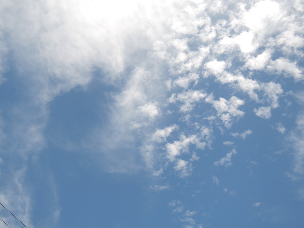 Looking up 16 January 2016 1.50 pm