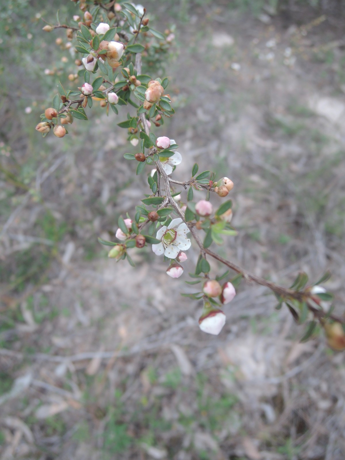 ... the view shifts and changes.