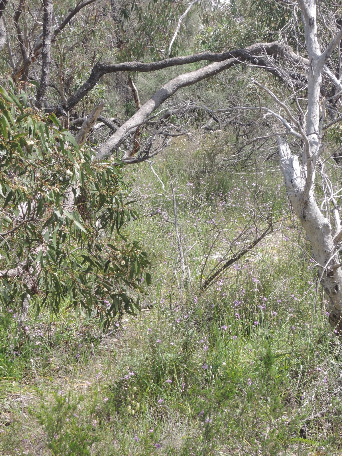 When you're walking ...